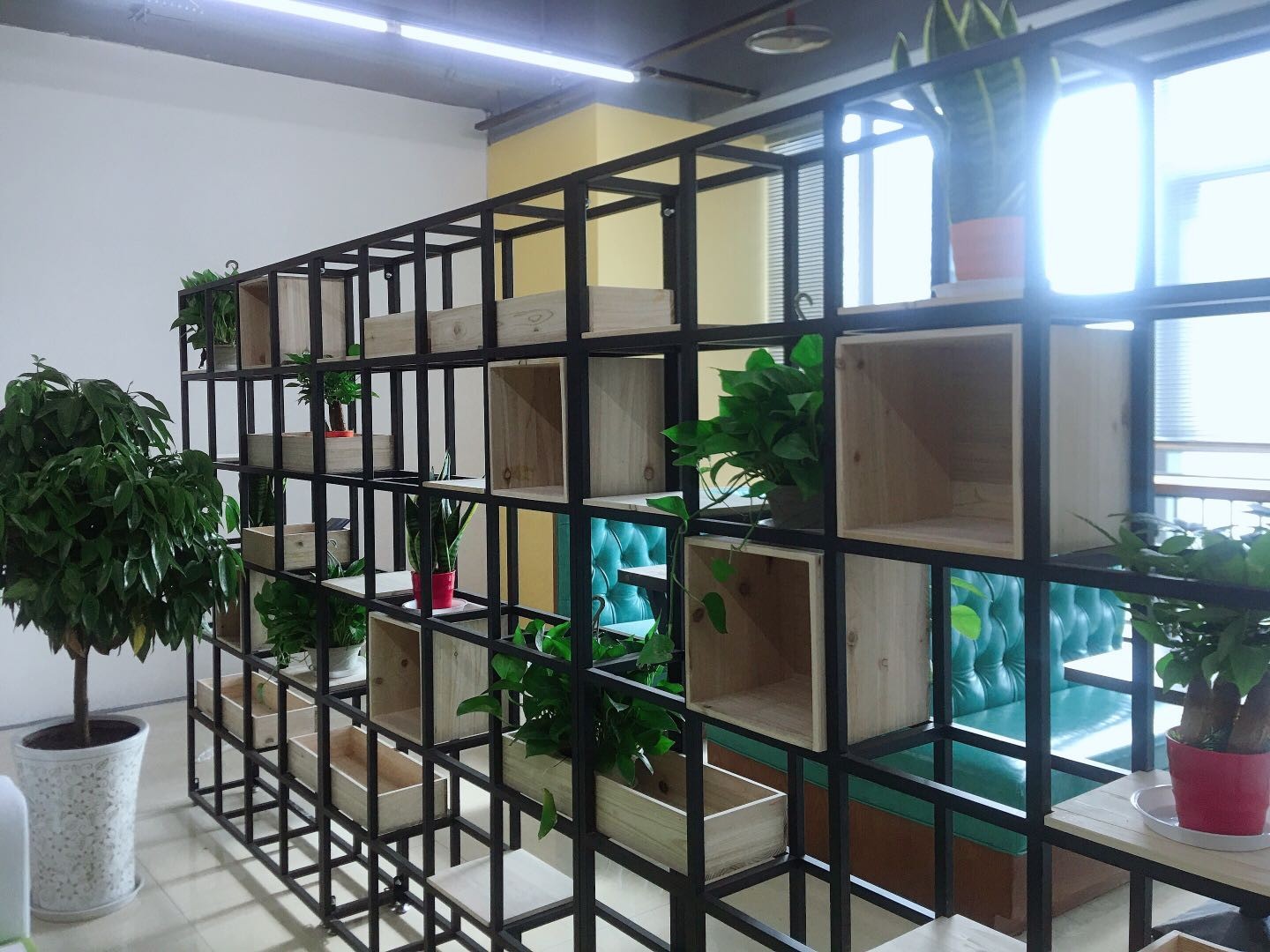 微信图片_202009071528199.jpg